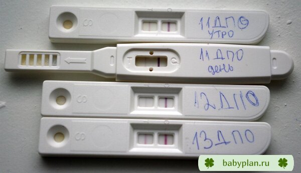 Мои  первые тесты