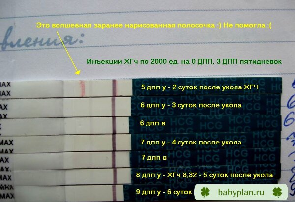 Как уходил ХГч после инъекций в протоколе ЭКО