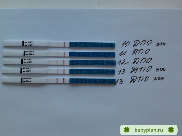 с 10 по 13 ДПО евитест