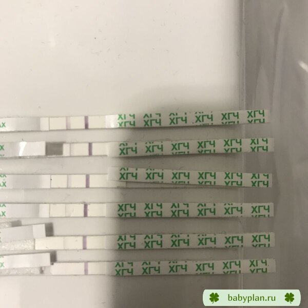 с 12 ДПО по 17 ДПО