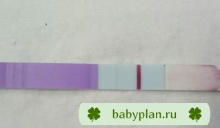 12 DPO