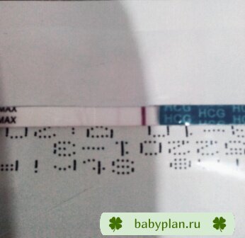 IMG 20140403 063449