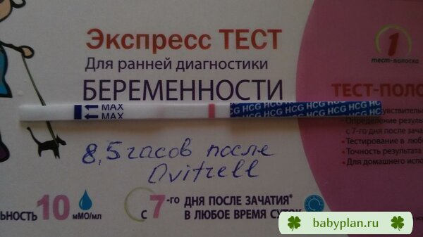 8.5 часов после укола Овитрелль