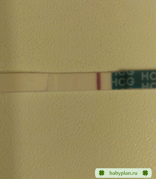 IMAG2650 1