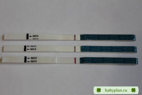 Тесты  на 12день после прегнила