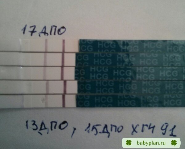 мои тестики с 13 по 17 ДПО