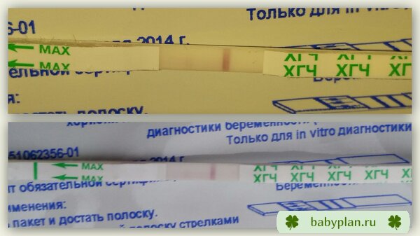 14 ДПО 31 дц