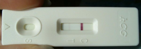 беременный тест