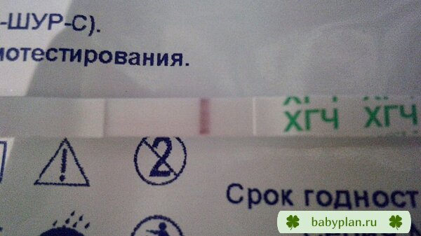 тест