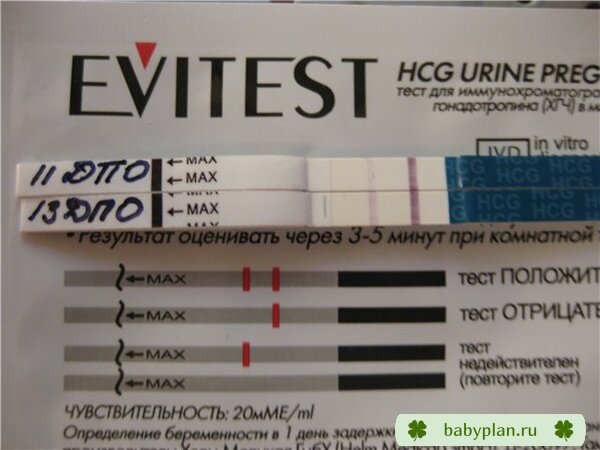Тестики EVI, чувств 20, на 11 и 13 ДПО.
