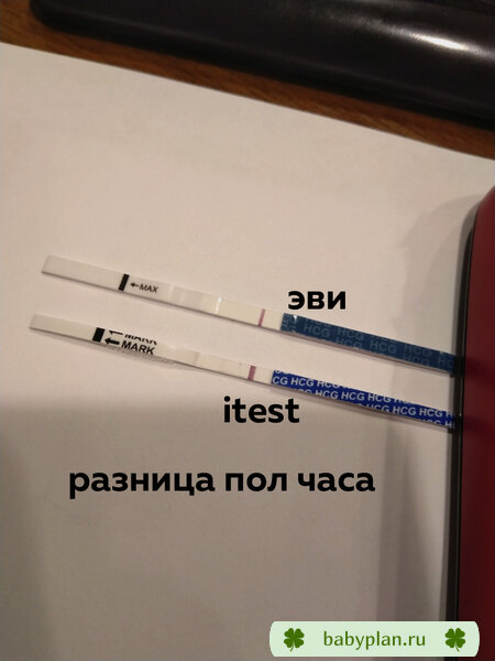 тесты