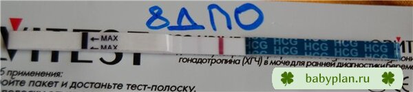 Мой тестик