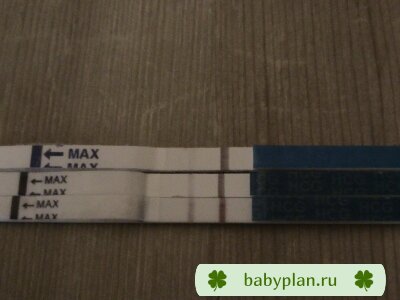 Полосочки мои :) 13 и 14 ДПО