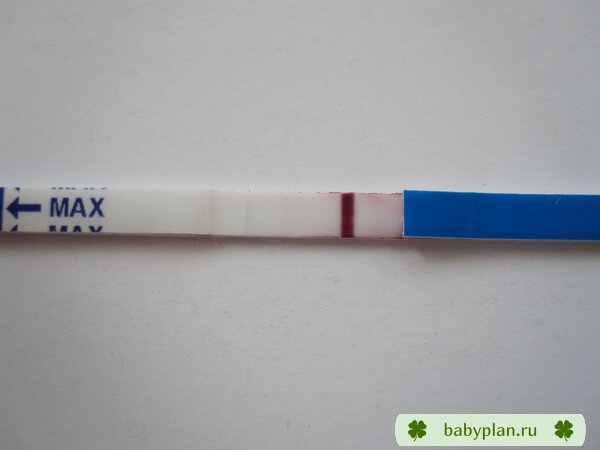 Test