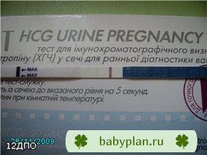 Подарок себе на ДР