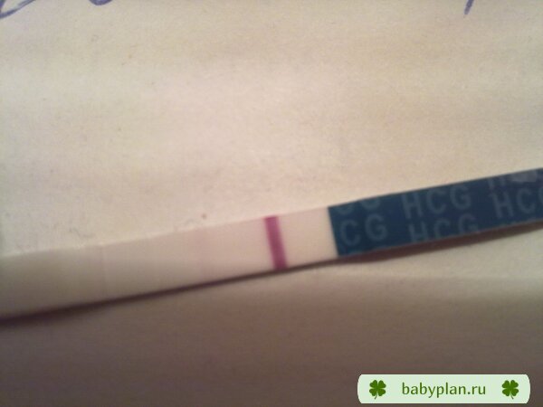 Тест на беременность Эви
