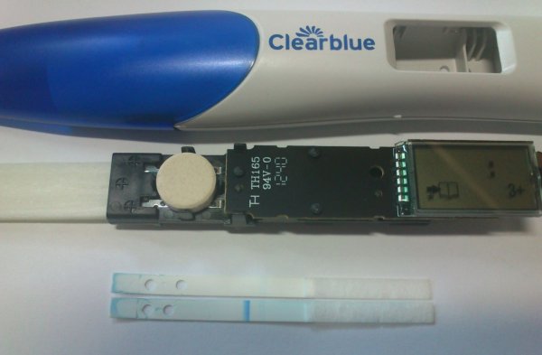 электронный ClearBlue