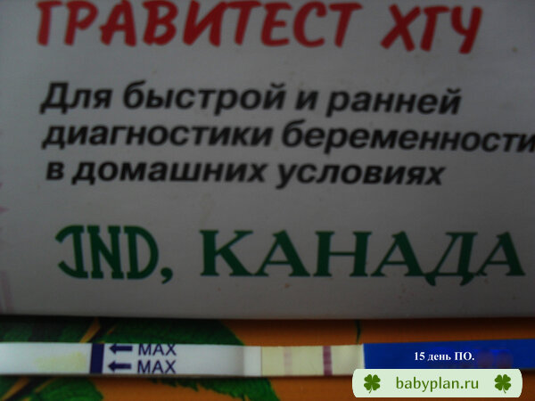 мой тест