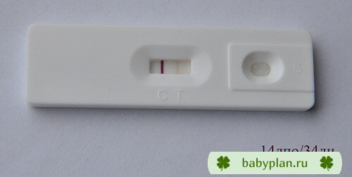 14dpo