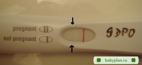 9 DPO