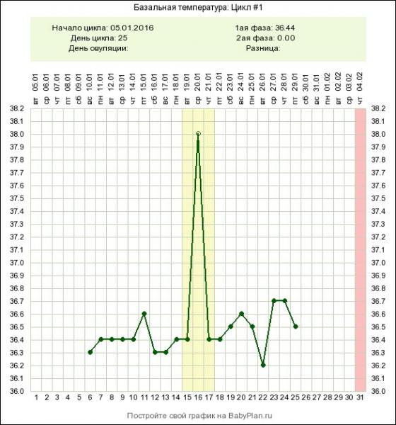 Овуляция при 30 дневном