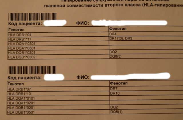 Анализ на совместимость супругов. HLA типирование 2 класса. Типирование генов HLA II: Локус DRB 1. HLA типирование Результаты. Генотипирование HLA II класса. Локус dqa1.