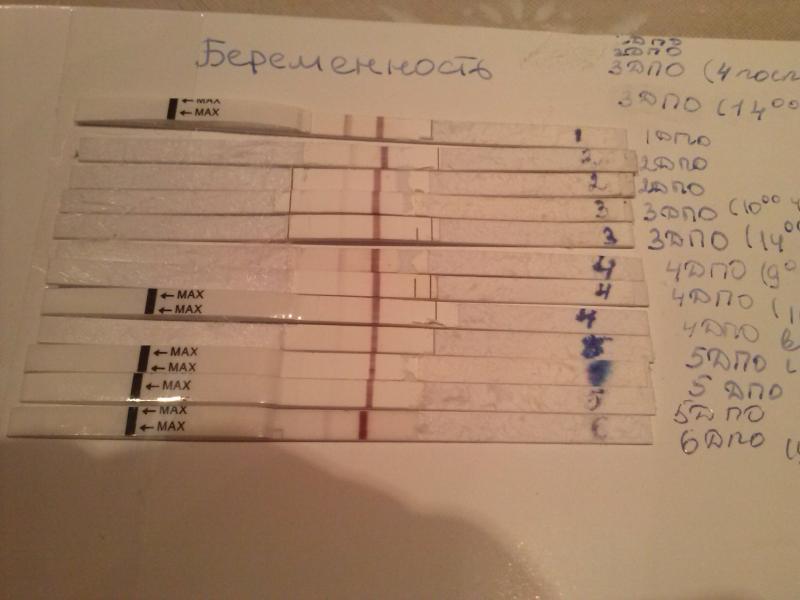 Овуляции после укола хгч. Тест на беременность после укола ХГЧ 5000. Тест на беременность на 7 день после укола ХГЧ. Тест на беременность после укола Овитрель. ХГЧ после укола ХГЧ 5000.