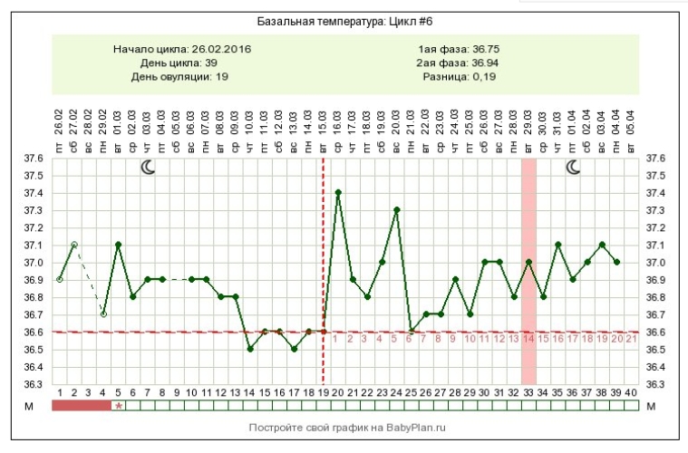 Базальная температура во время