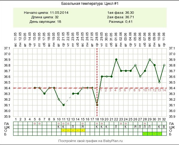 Овуляция видел. БТ цикл 28 дней. Графики БТ С циклом в 30 дней. 16 День цикла. Цикл овуляции.