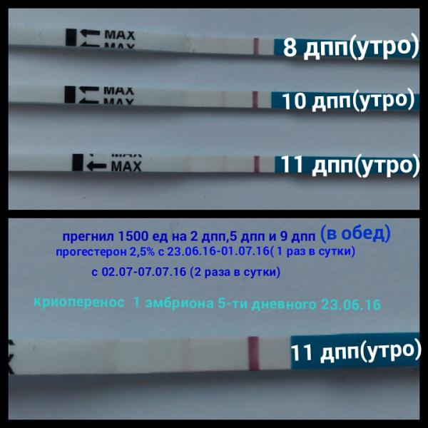 10 день криопереноса. Тесты после подсадки эмбрионов. Тесты ДПП пятидневок. Тесты после переноса эмбрионов. Тест после подсадки пятидневок.