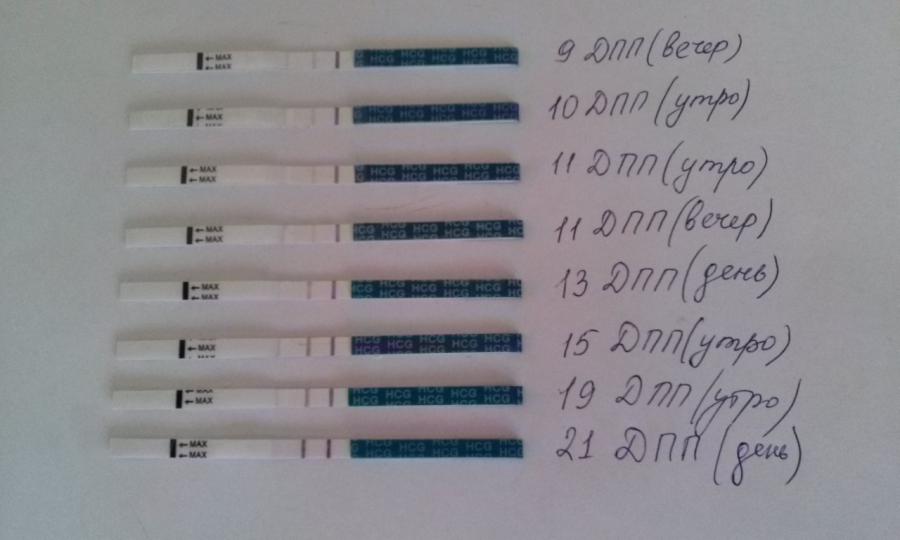 Тесты на беременность после подсадки эмбриона. Тесты на беременность после подсадки на 8 день. 9 Дней после подсадки эмбриона тест. Тесты на беременность после переноса эмбрионов. Тест на беременность на 10 день после переноса эмбрионов.