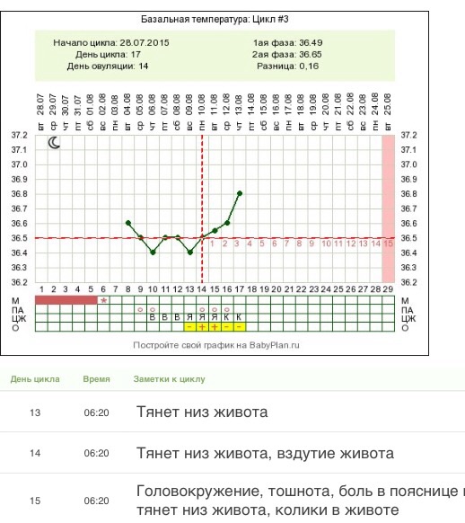 Тянущие боли внизу живота во время