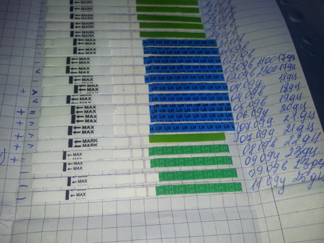 Беременность после теста на овуляцию форум. Тест на овуляцию. Тест на овуляцию положительный. Тесты на овуляцию по дням. Тест на овуляцию и беременность.
