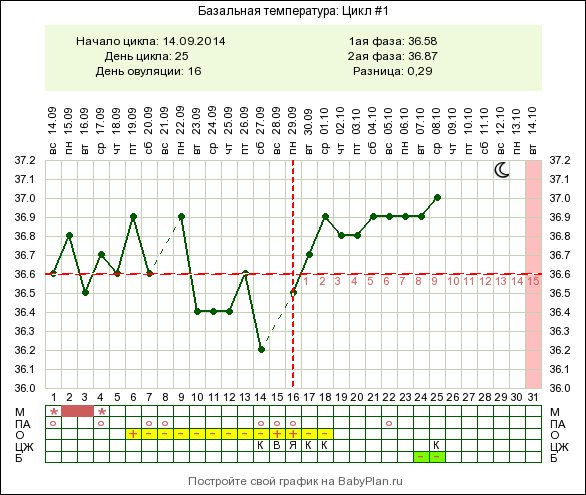 Температура во втором цикле. Скачки базальной температуры во второй фазе. Скачки БТ во 2 фазе цикла. Базальная температура во время цикла. 25 День цикла БТ 37.