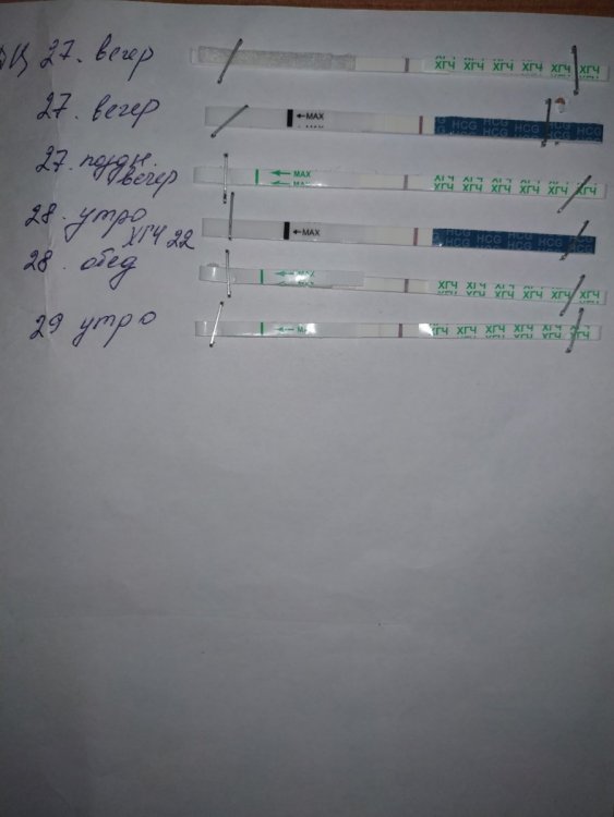 IMG_20181130_122144 (Большой).jpg
