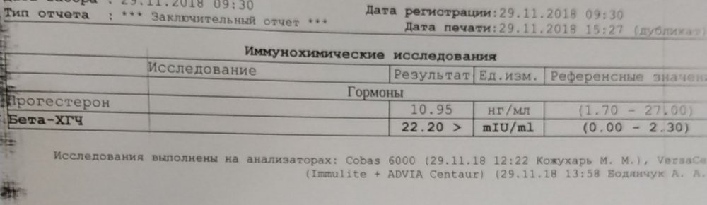 IMG_20181129_152722.jpg