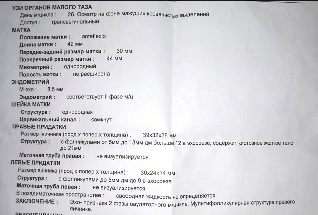 На какой день делают узи эндометрия. УЗИ малого таза беременность на ранних сроках. УЗИ малого таза при беременности на ранних. УЗИ органов малого таза на 5-7 день цикла. УЗИ органов малого таза беременность.