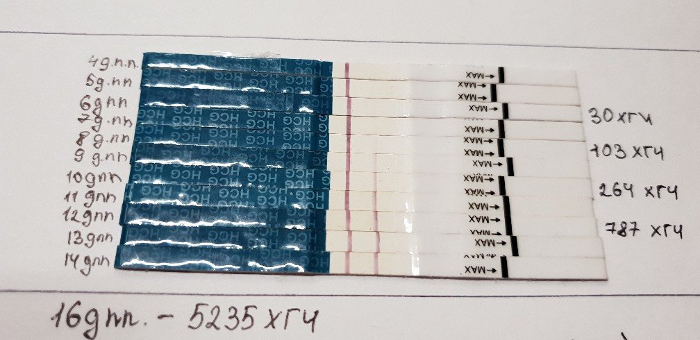 Тесты после переноса эмбрионов отзывы. ХГЧ на 10 ДПП пятидневок. ХГЧ на 9 день после переноса. ХГЧ эко 10 ДПП. ХГЧ И тесты на беременность после подсадки эмбриона.