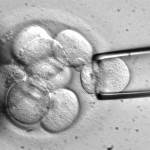Подробная информация о "Почему эмбрионы прекращают развиваться в лаборатории?"