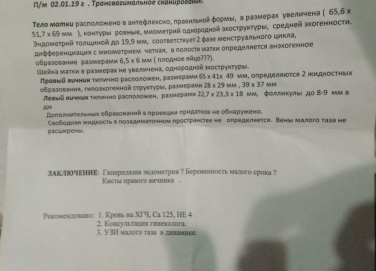 Свободная жидкость 10 мм. Свободная жидкость в позадиматочном пространстве УЗИ. Жидкость в позадиматочном пространстве на УЗИ норма. Трансвагинальное УЗИ заключение. Жидкость в позадиматочном пространстве в беременность.