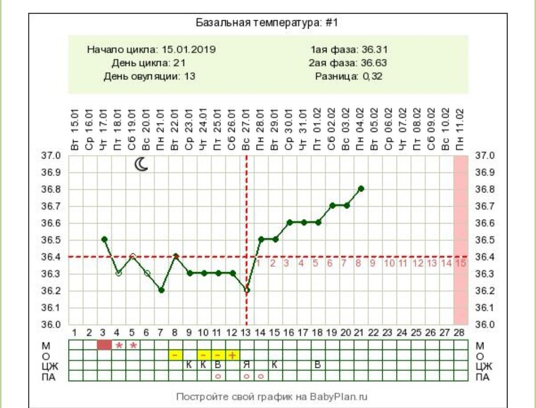 Какая базальная температура при беременности до задержки