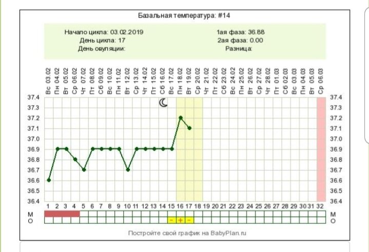 Овуляция перед месячными форум. Измерение базальной температуры для определения беременности. Грудь после овуляции. Грудь при овуляции. Болит грудь после овуляции.