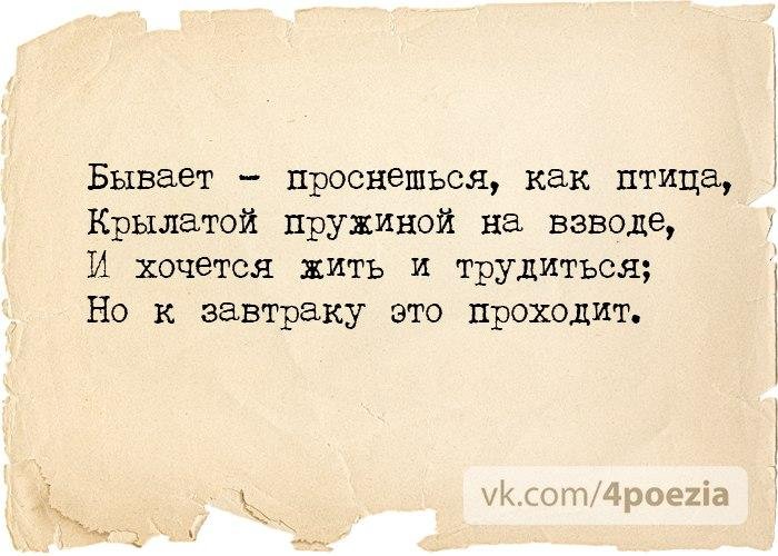 Проснешься как птица крылатой. Крылатой пружиной на взводе Губерман бывает проснешься. Бывает проснешься как птица Губерман.