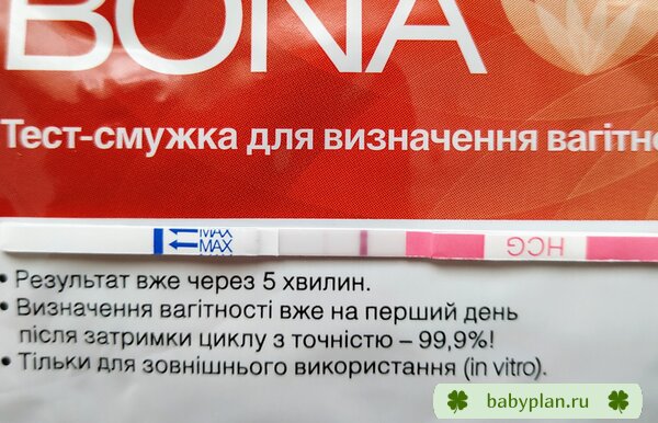 5 ДПП