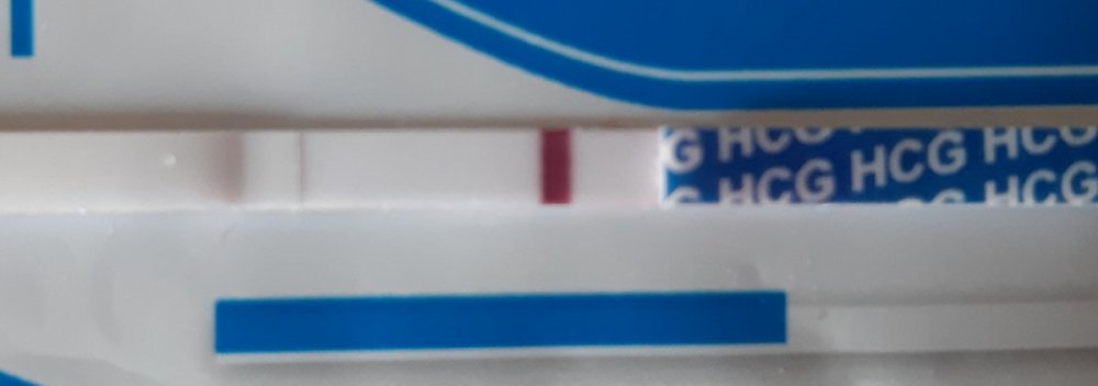 20190506_195943.jpg