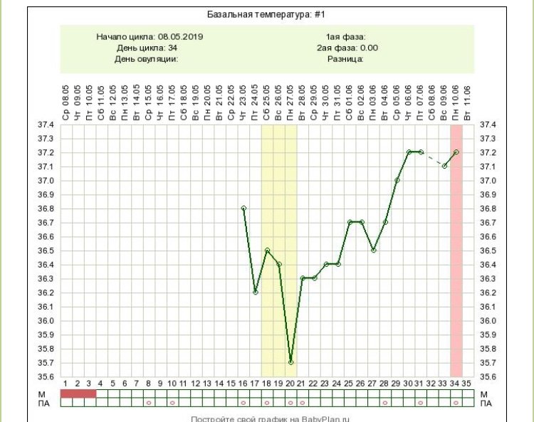 Базальная температура при беременности какая должна быть. Идеальный график базальной температуры. Беременный график базальной температуры до задержки. График базальной температуры при многоплодной беременности. Идеальный беременный график базальной температуры.