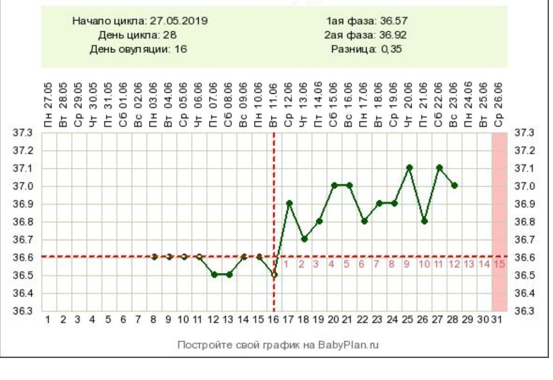 Когда происходит овуляция простыми словами. Дни цикла. Цикл овуляции. Овуляция на 24 день цикла. Овуляция при цикле 25 дней.