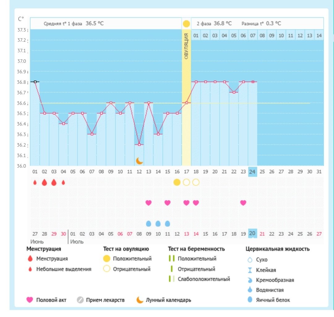 Температура базальная тест отрицательный. График беременности. Беременный график базальной. График БТ С овуляцией и беременностью. График базальной температуры.