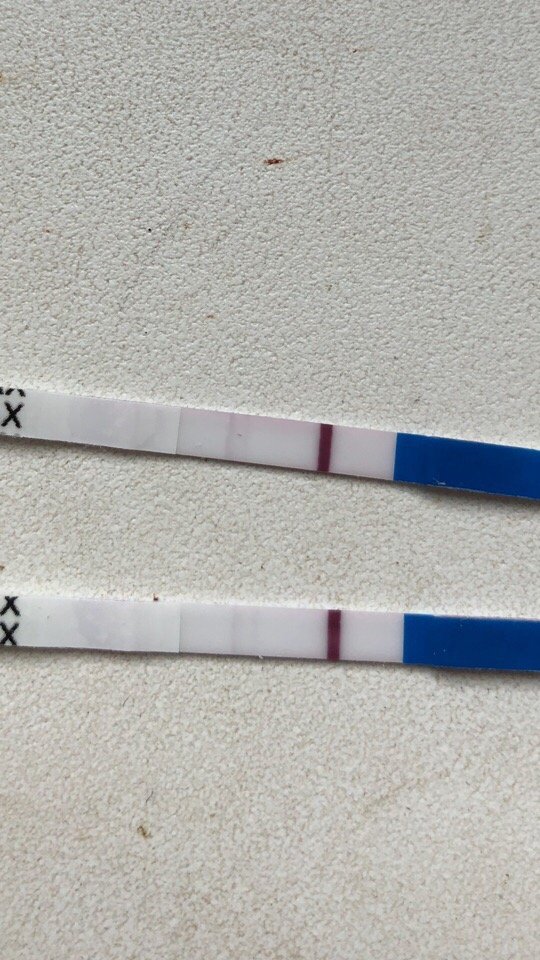 Тонкая полоска на тесте. Тест на беременность 3 полоски. Теси на беременность 1 полоски. Тест с одной полоской. Текст на беременность + палоска.