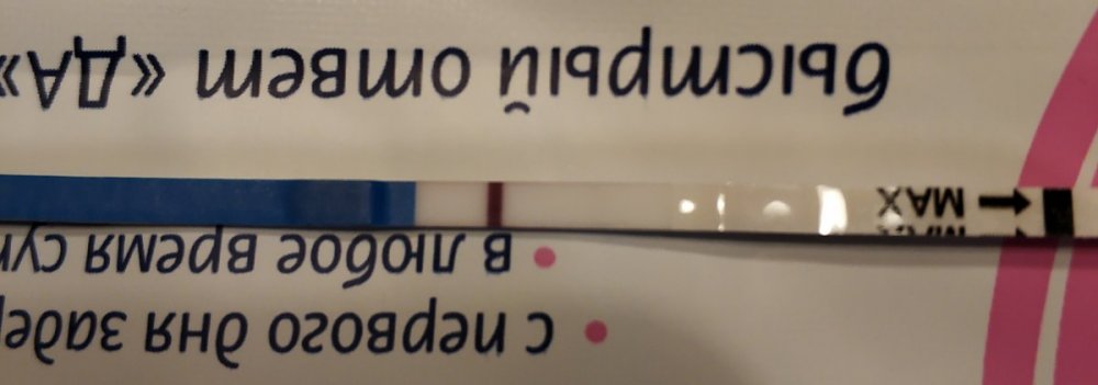 IMG_20190806_092701.jpg